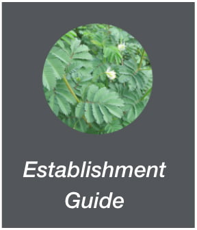 Establishment Guide