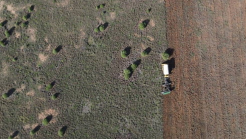 Beating Pasture Dieback