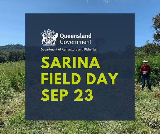 Sarina Field Day